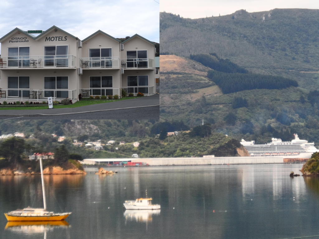 Otago Peninsula Motel Portobello Eksteriør bilde